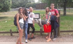 Caj Ete 2016   053